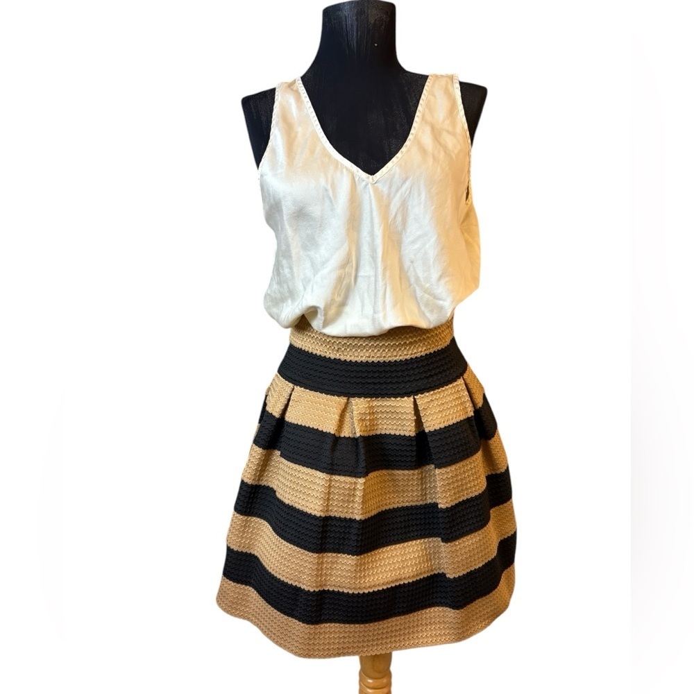 Neslay Designer Stylish Black and Tan Striped Skirt - Picture 2 of 16